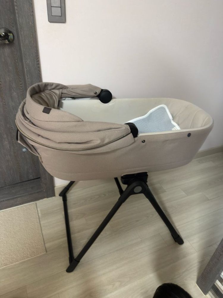 잉글레시나 앱티카 두요--4