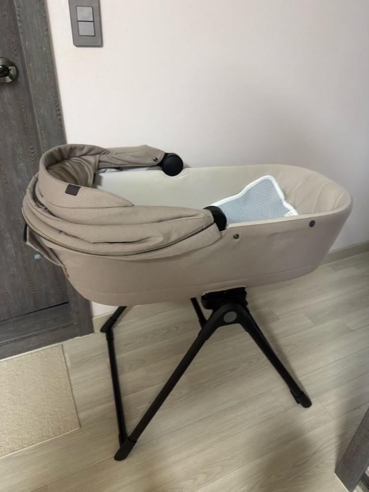 잉글레시나 앱티카 두요--5