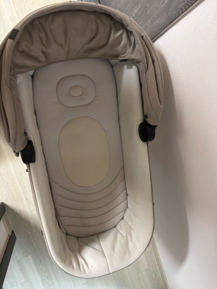 잉글레시나 앱티카 두요--6