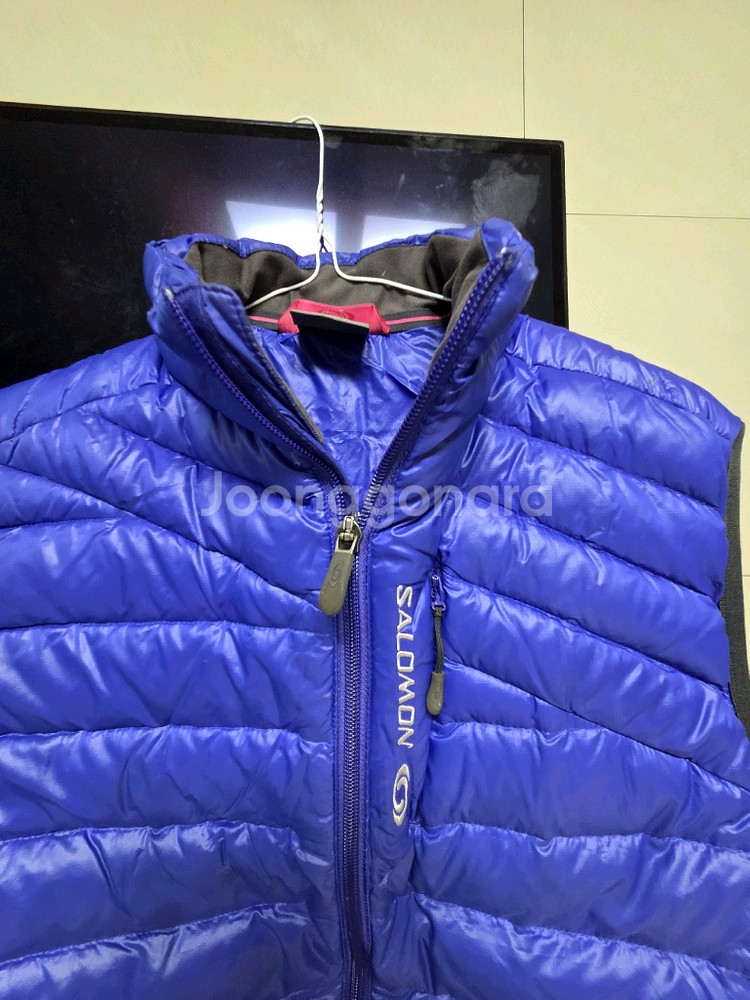 살로몬 베시트 페딩--1