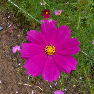 스팀게임 80퍼 이미지