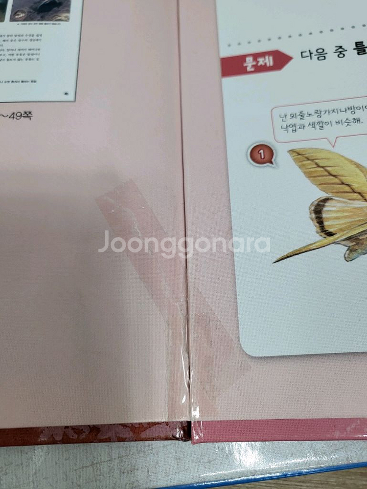 꼬꼬마 과학자 전집 세트--2