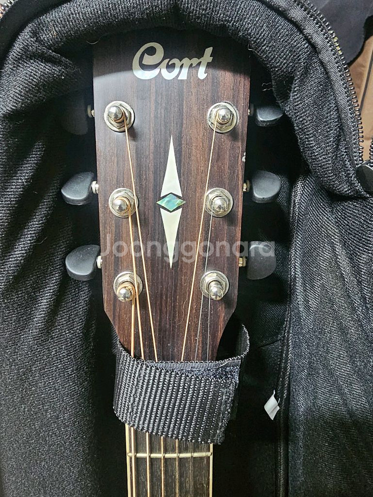 콜트 어스100 탑솔리드 통기타 팝니다.--3