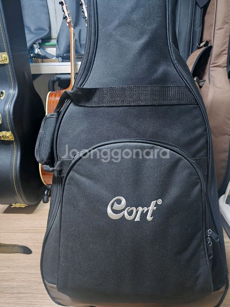 콜트 어스100 탑솔리드 통기타 팝니다.--5