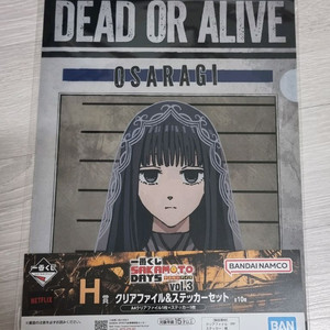 사카모토 데이즈 오사라기 클리어 파일 이미지