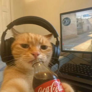 급처 아이폰17프로 구합니다!