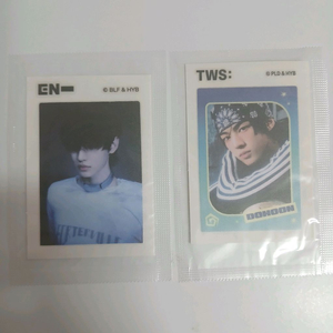 투어스 도훈 롯데 띠부씰 이미지