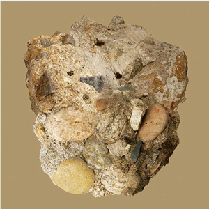 카더가든 부재 cd [미개봉] 사인반 초반 이미지