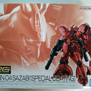 RG사자비 스페셜 코팅