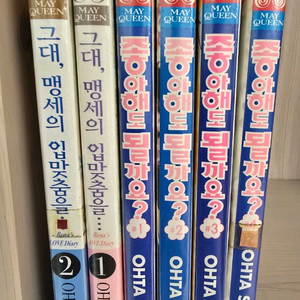 오타 사키 좋아해도될까요 그대맹세의입맞춤을