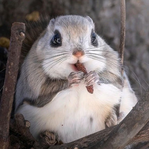 로스트아크 닉네임 이미지