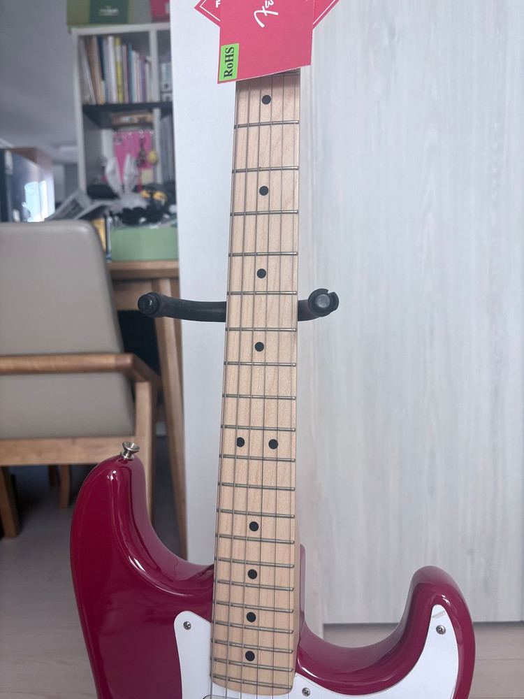 펜더 일렉기타 에릭클랩튼 스트라토케스터(Fender Eric Clapton Stratocaster) 이미지