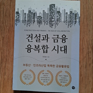 건설과 금융 융복합 시대.도서