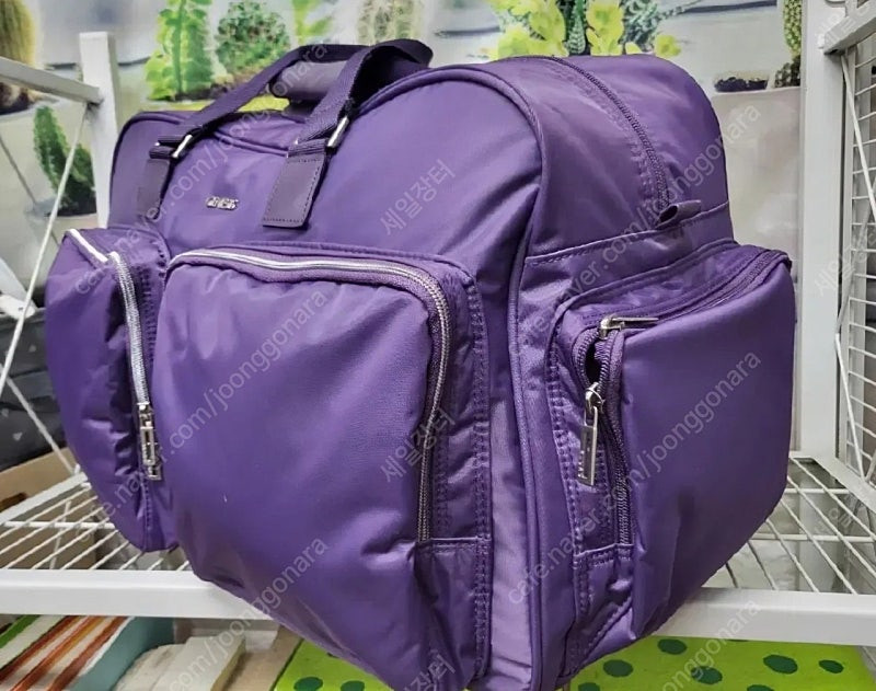 제네시스 골프보스턴백 보스톤백 골프백 골프가방 OC55 이미지