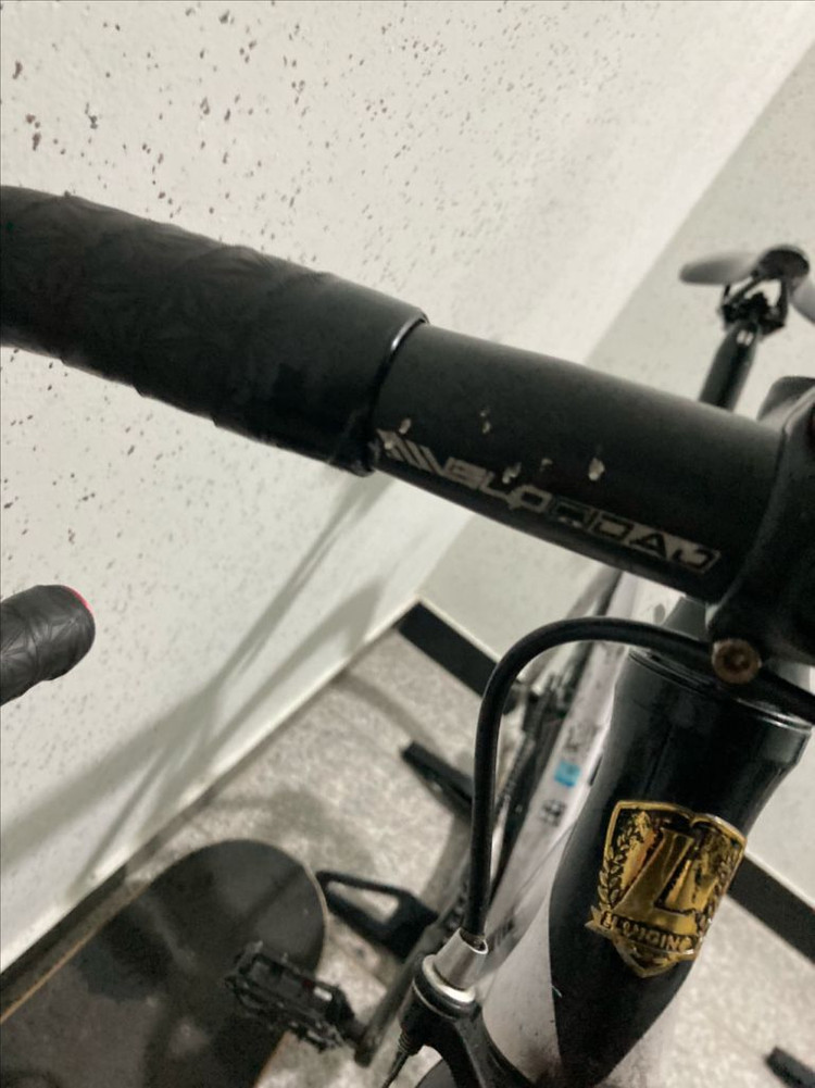 사브레 루이지노 픽시 팔아요 이미지