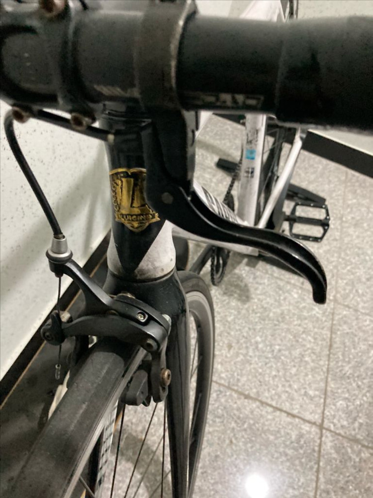 사브레 루이지노 픽시 팔아요 이미지