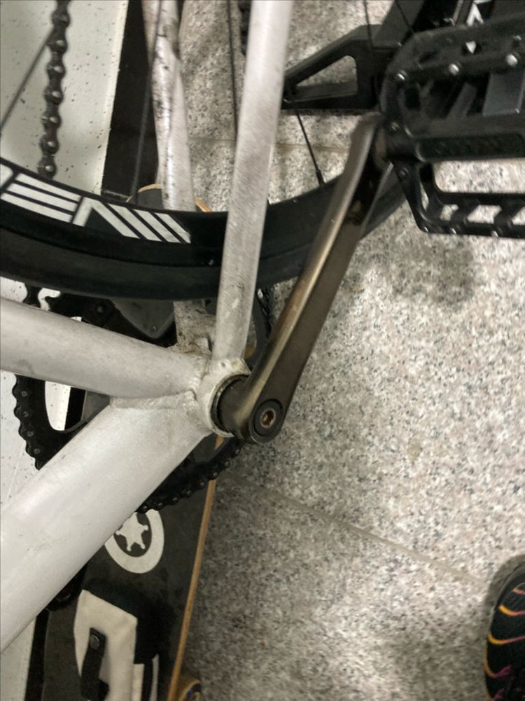 사브레 루이지노 픽시 팔아요 이미지