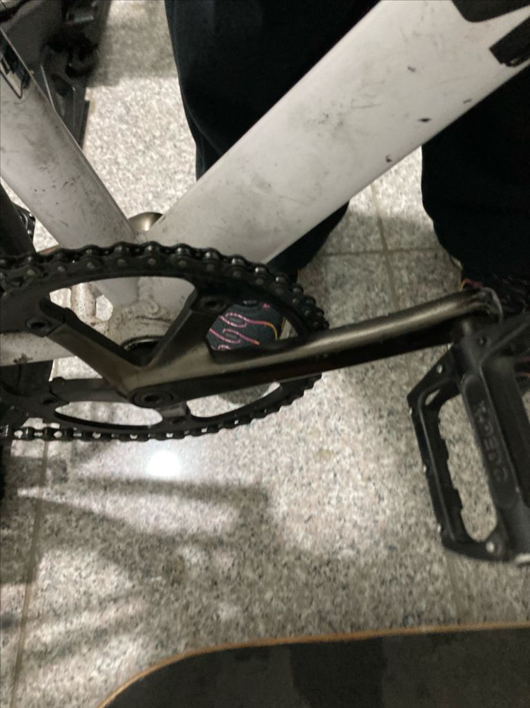 사브레 루이지노 픽시 팔아요 이미지