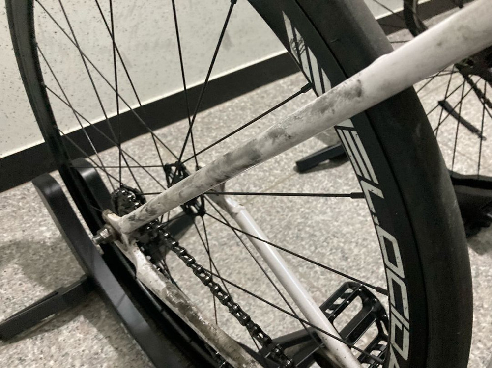 사브레 루이지노 픽시 팔아요 이미지