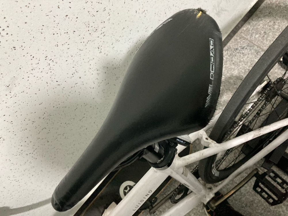 사브레 루이지노 픽시 팔아요 이미지