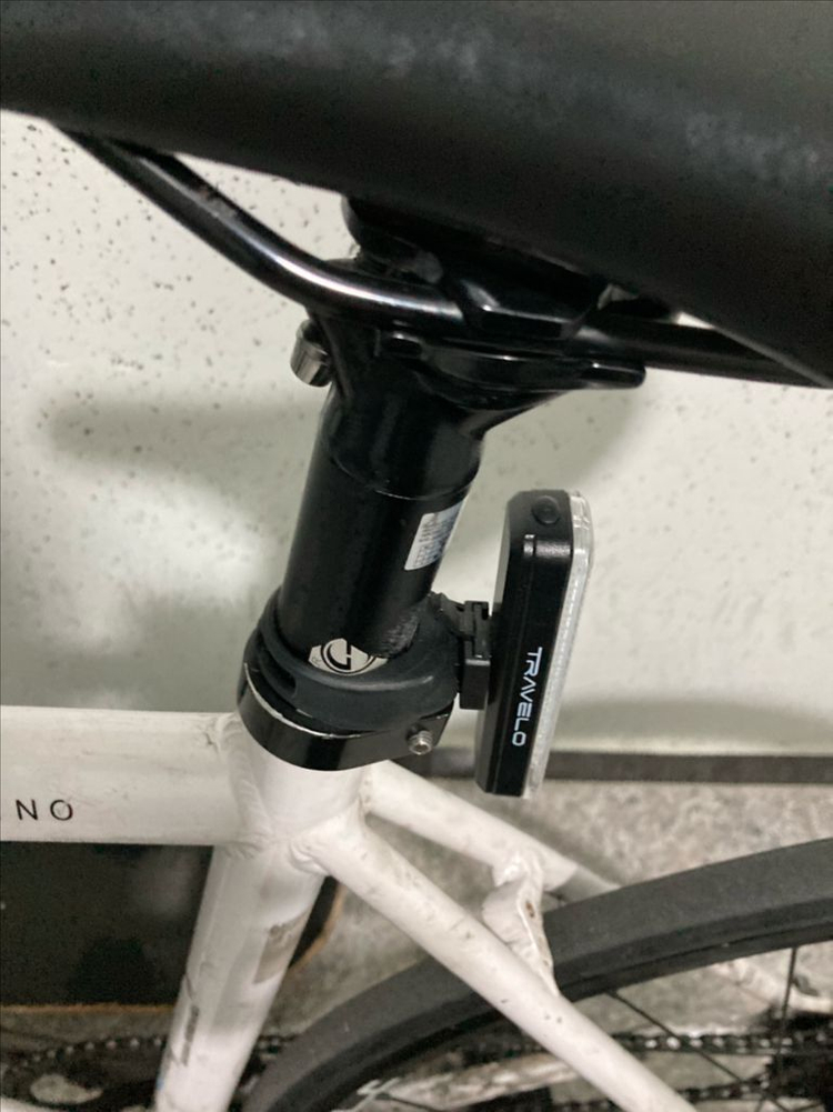 사브레 루이지노 픽시 팔아요 이미지