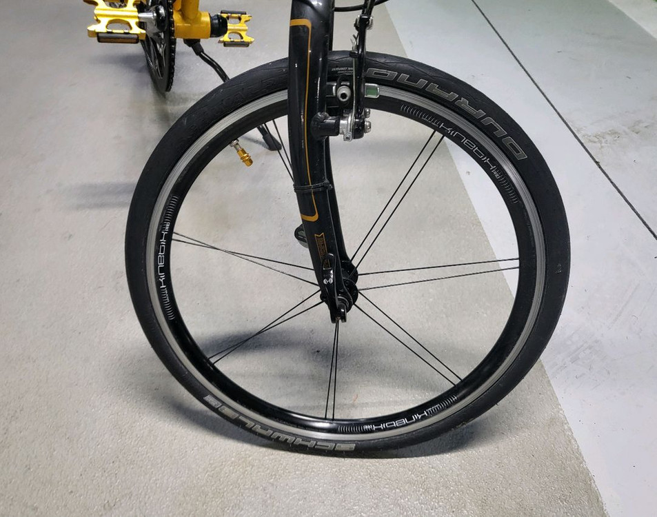 Dahon 명차 다혼 스피드 프로 TT 이미지