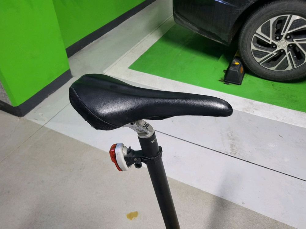 Dahon 명차 다혼 스피드 프로 TT 이미지