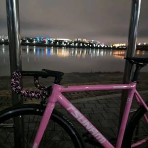 쓰나미 연핑크 완차 급처 사닝태 ㄱ좋음