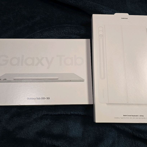 갤럭시탭S10플러스 5G 256GB 자급제