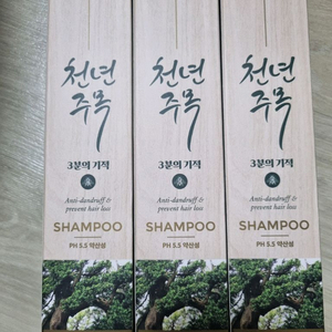 천년주목 샴푸 (리뉴얼제품) 약산성 무실리콘 비듬 가려움 인증 개당 23,000원