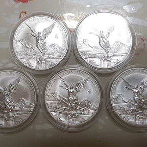 (6개남음) 멕시코 리버타드 은화 2온스 2017년 실버코인 실버 은