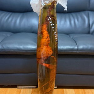 백하수오(25~30년산) 담근주 이미지