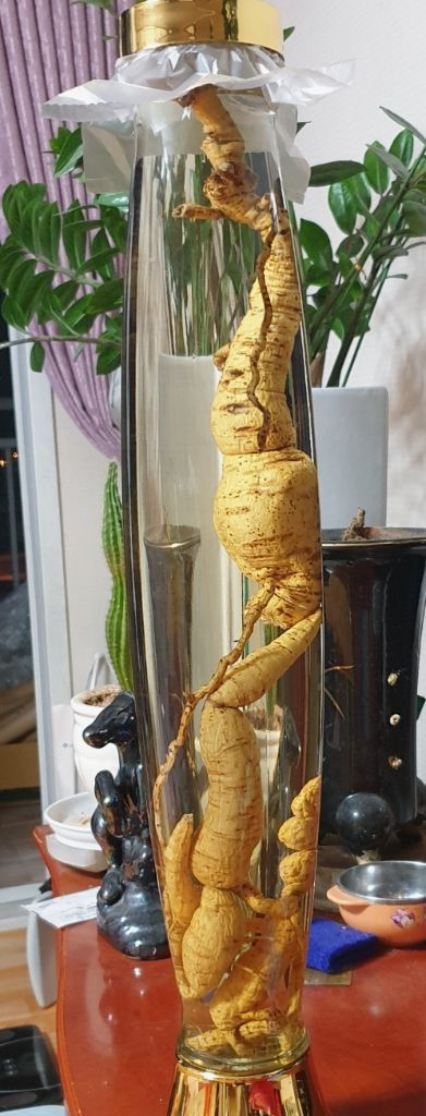 백하수오(25~30년산) 담근주 이미지