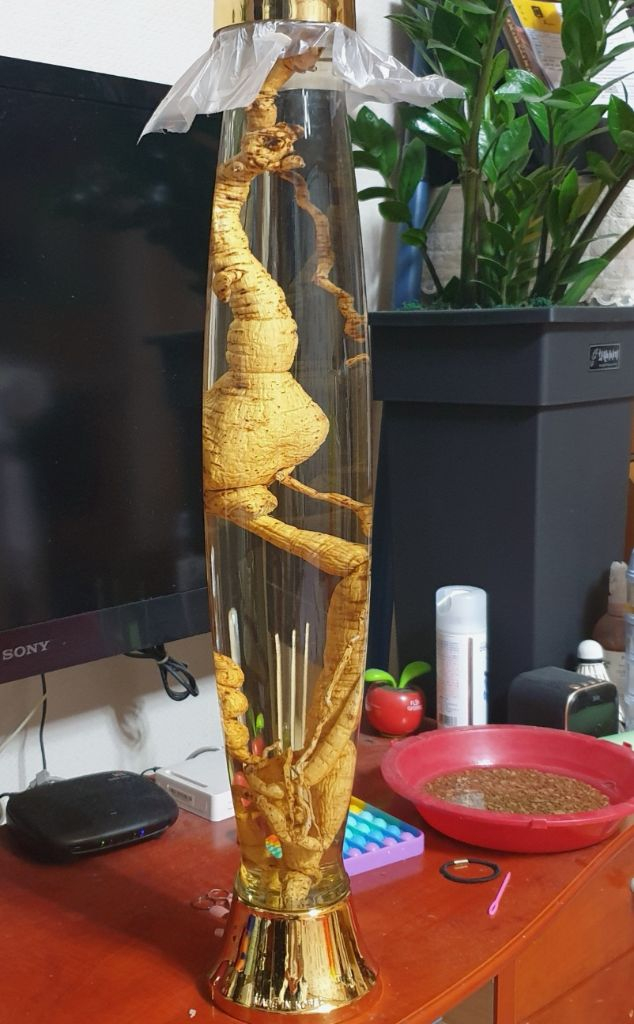 백하수오(25~30년산) 담근주 이미지