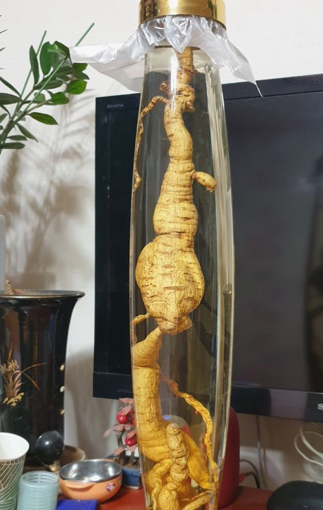 백하수오(25~30년산) 담근주 이미지