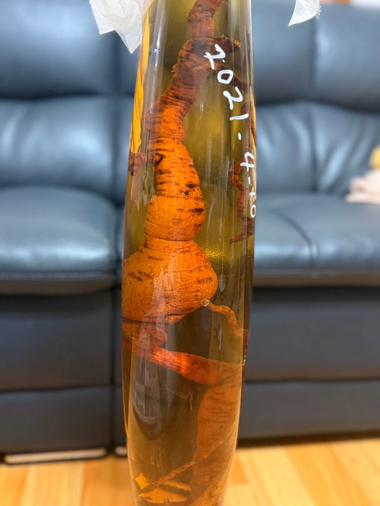 백하수오(25~30년산) 담근주 이미지