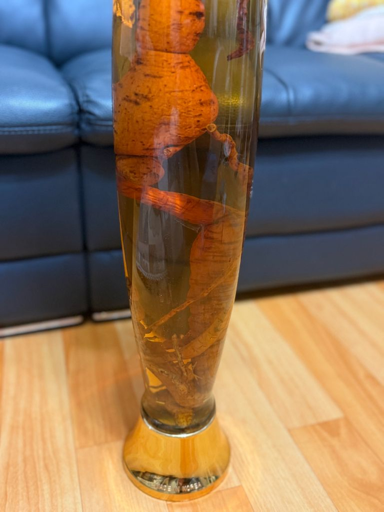 백하수오(25~30년산) 담근주 이미지