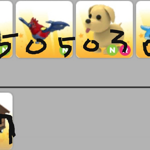 입양하세요 펫 팝니다 :) 이미지