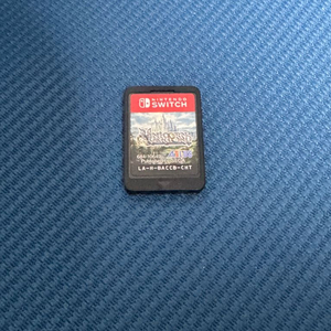 닌텐도 스위 유니콘 오버로드 알칩