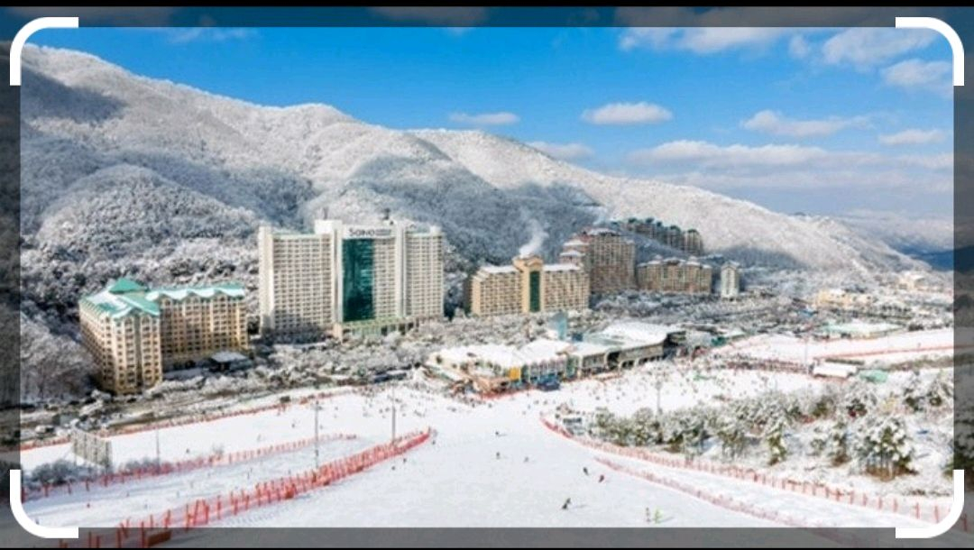 2.1 일 홍천 소노벨 비발디파크 스키장 숙박 숙소 양도--1