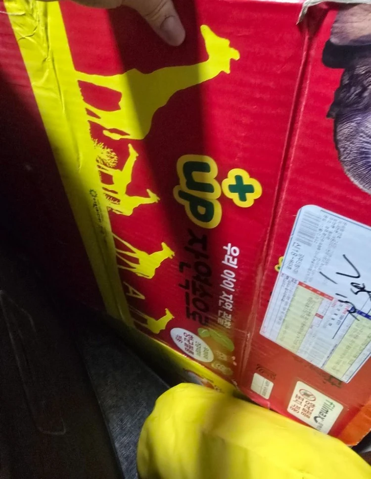 여원미디어 자연속으로+up 개정판 세이펜가능 이미지