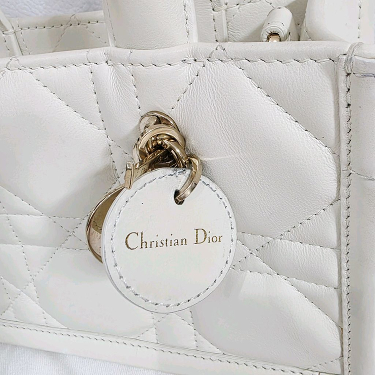 디올 북토트 미니 카나쥬 레더 라떼 이미지