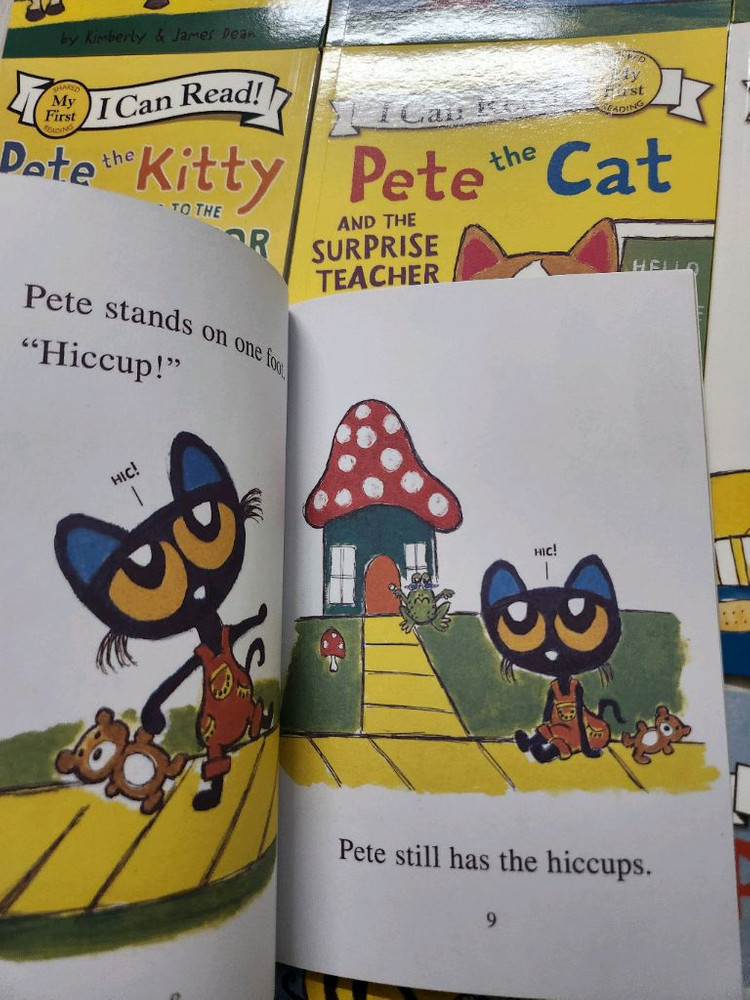 pete the cat 17권 이미지