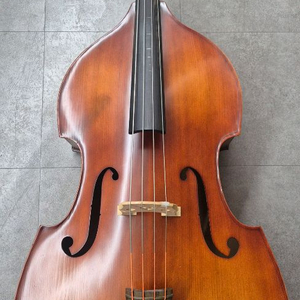 콘트라베이스 더블베이스