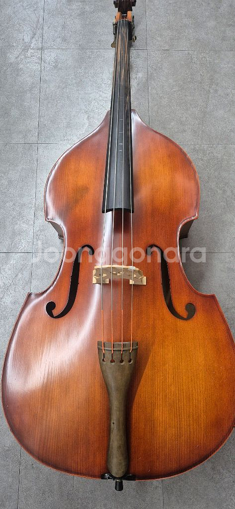 콘트라베이스 더블베이스--1