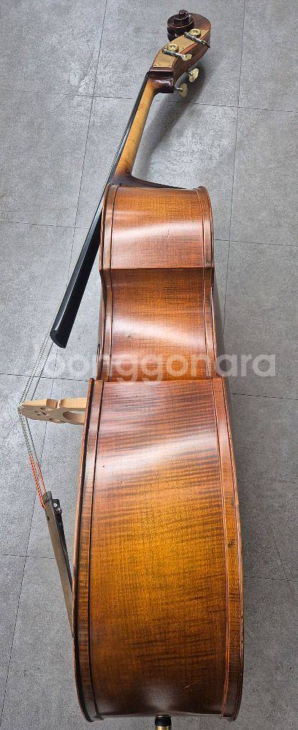 콘트라베이스 더블베이스--2