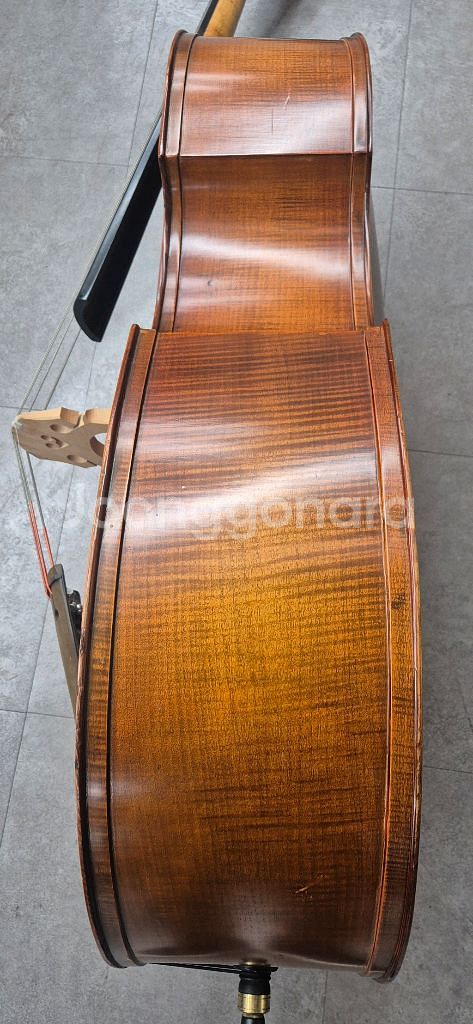 콘트라베이스 더블베이스--3