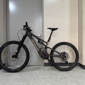 스페셜라이즈드 터보리보SL2 카본 S3