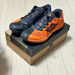 (상태s급)살로몬x알파인 /pro 살로몬 270