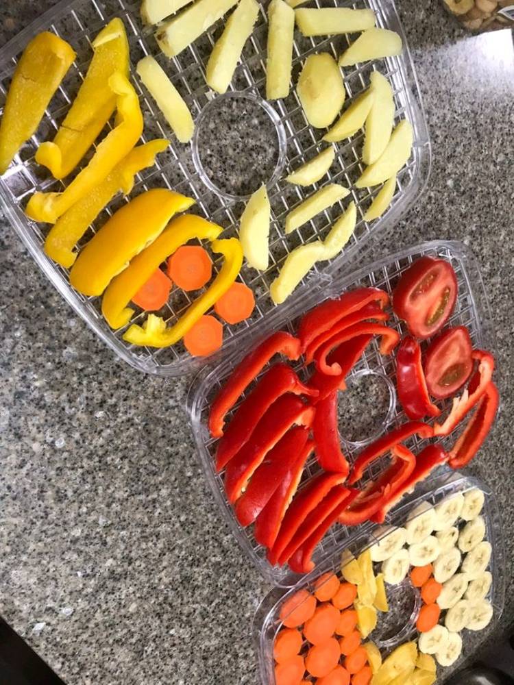 자이글 잘마름 식품건조기--7